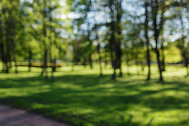 istock blurred background of spring or summer park in town 578075588