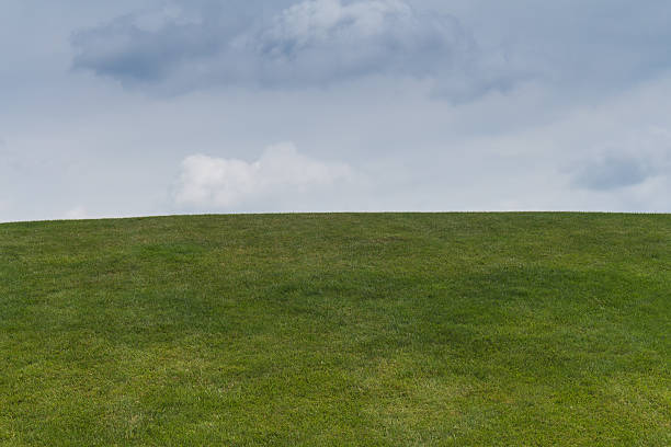 istock Green grass on the hill and cloudy sky 578077182