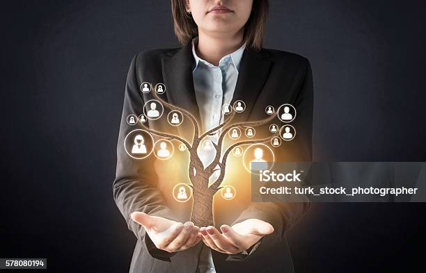 Customer Care With Human Tree Abstract Concept Stock Photo - Download Image Now - Data, Responsibility, Adult