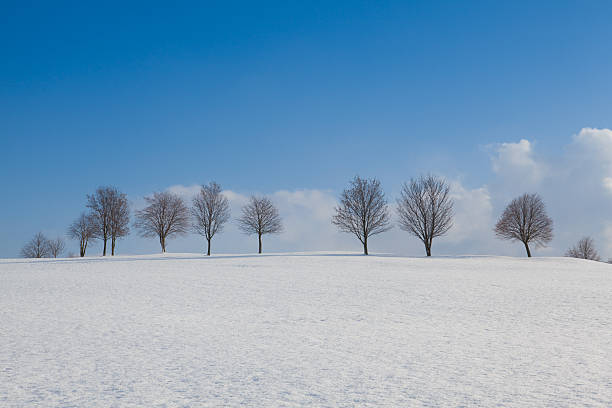 istock Winter landscape in sunny day 578080678