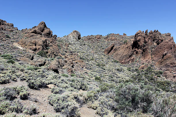 istock Teide volcano - Island of Tenerife 578082162