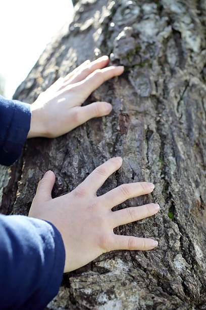 istock Touching and feeling the vitality of tree 578082498
