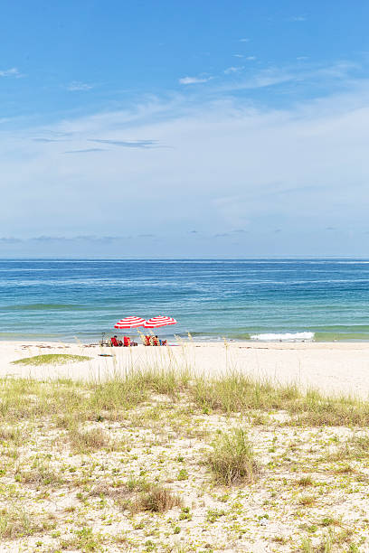 Relaxing Day at the Beach on St. George Island