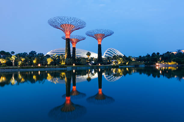 singapour skyline. - gardens by the bay photos et images de collection
