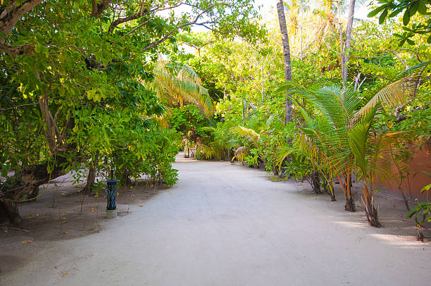 istock Walkway in Tropical Paradise Island, Kuredu, Maldives 578085090