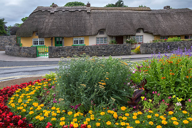 Thatched Cottage in Scotland