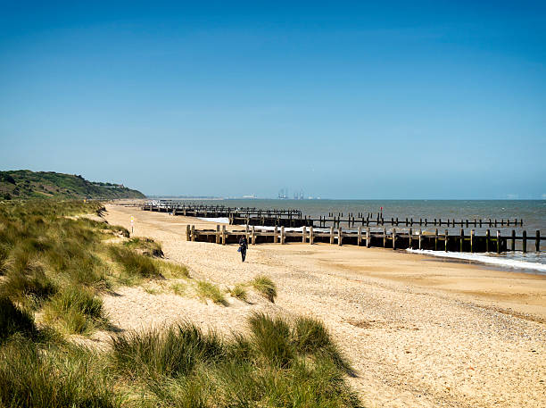 An elderly couple taking a walk by the sea on a sandy beach, following a young boy who looks back at them. Walking bare footed over the wet sand of the beach.  Their trousers are folded till calfs. exposing some part of their legs. The lady is in blue top and white trousers and the man is in striped white polo neck t- shirt . A wave splashes at the shore.