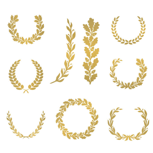 ilustraciones, imágenes clip art, dibujos animados e iconos de stock de silueta de laurel y coronas de roble en diferentes formas - laurel wreath bay tree wreath gold