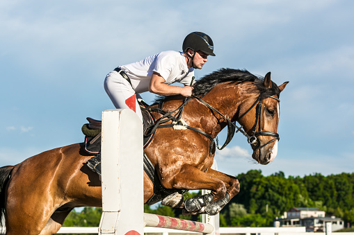 Close-up of horse with a rider jumping over a hurdle. The photo shows the moment when the horse passes over the hurdle. The rider is raised in the saddle and leaning forward while the horse prances. The rider and the horse seem coordinated and synchronized. In the background is the clear blue sky with few clouds and treetops.