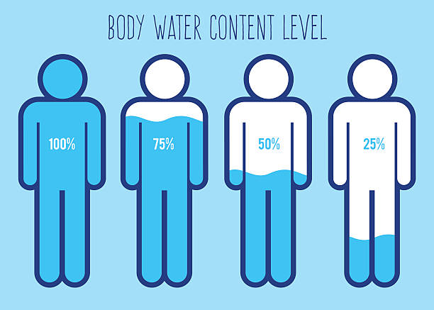 poziom zawartości wody na wykresie ludzkiego ciała - drinking water drink men stock illustrations