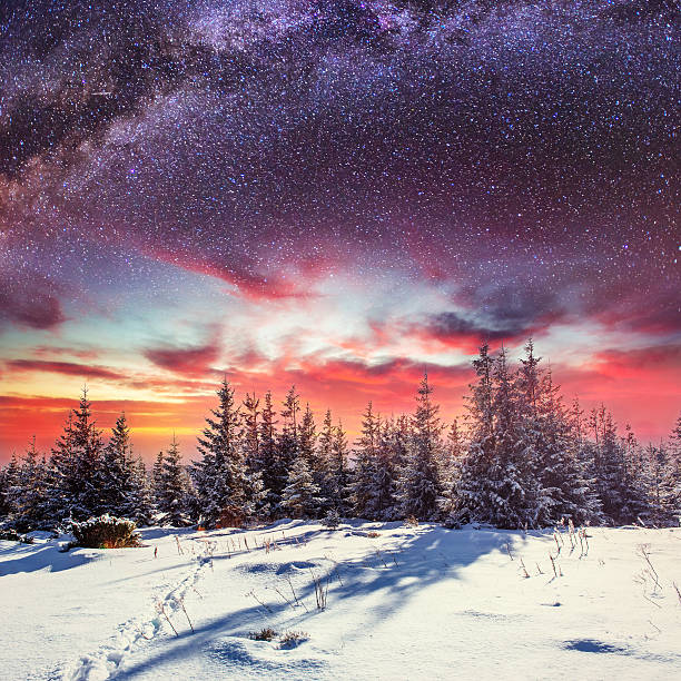 istock starry sky in winter snowy night. 578093212