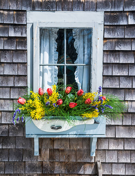 Tulip Window Box 80+ Tulips Window Box Stock Photos, Pictures & Royalty-Free Images - iStock
