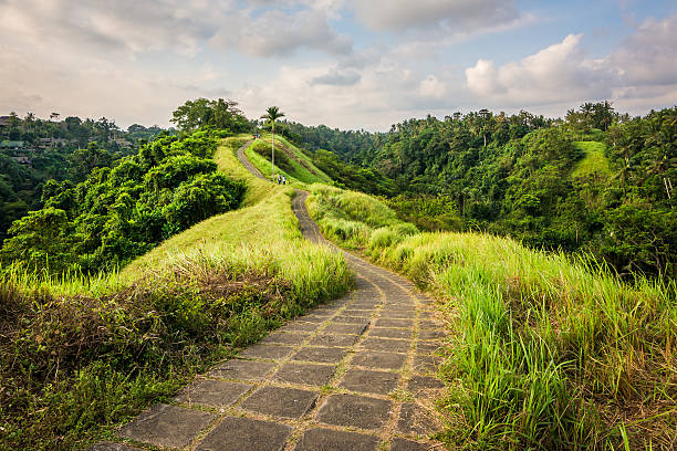campuhan ridge walk campuhan path at bali countryside, indonesia tanah lot sunset stock pictures, royalty-free photos & images
