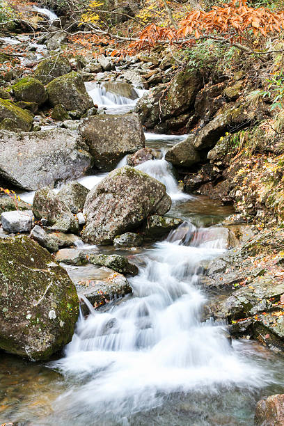 istock Autumn landscape with trees and river 578097440