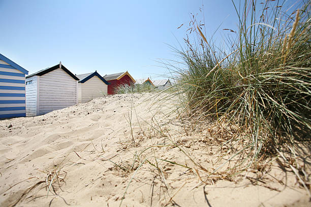 Southwold Beach Huts sand dunes Shot of beach huts in the English town of Southwold on a bright sunny, summer day by the seaside. southwold stock pictures, royalty-free photos & images