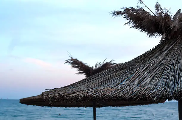 Photo of many sun umbrellas in the warm sandy beach