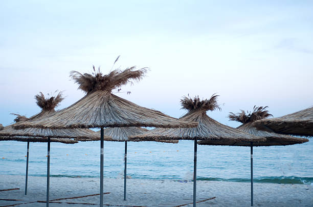 many sun umbrellas in the warm sandy beach - mimizan imagens e fotografias de stock