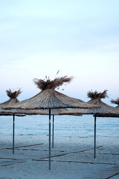 many sun umbrellas in the warm sandy beach - mimizan imagens e fotografias de stock