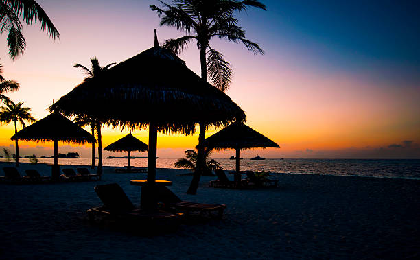 istock Sunset beautiful beach with palm trees, sun beds 578105246
