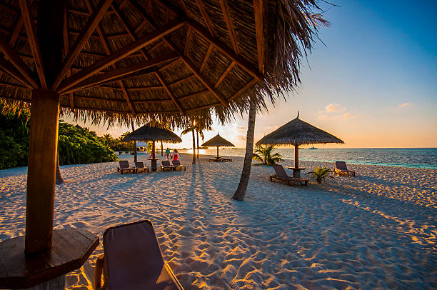 istock Beautiful beach with palm trees, fine sand and sun beds 578105648