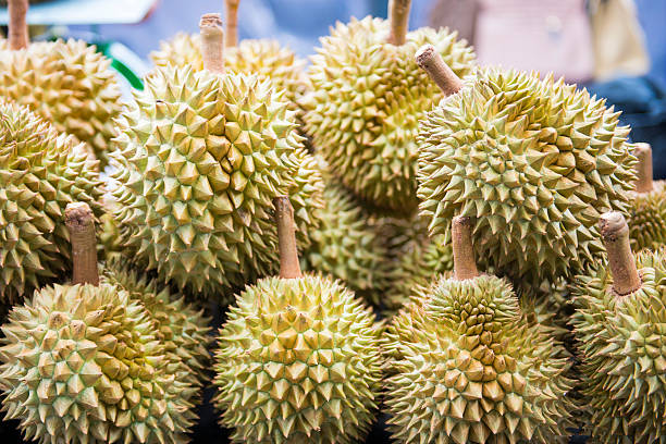istock Fresh durian from the garden for sale 578107930