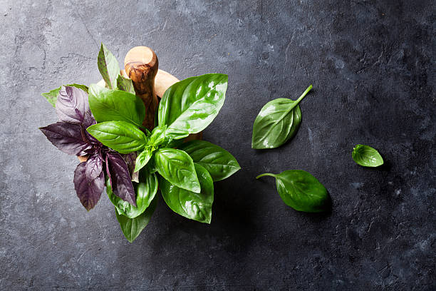 istock Fresh garden basil herbs in mortar 578110420