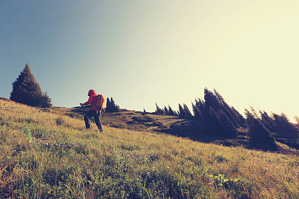 istock young woman backpacker hiking on beautiful mountain peak 578112580