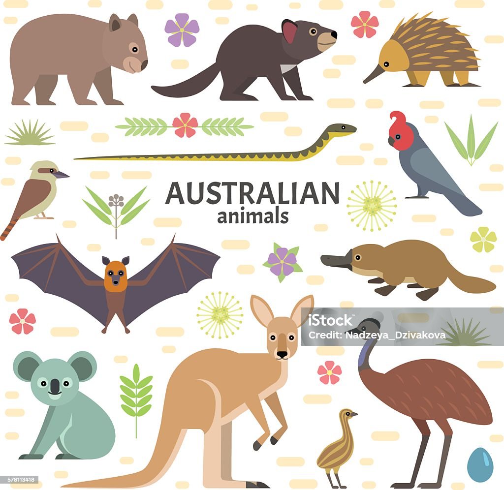 Australian Animals Stock Illustration - Download Image Now - Australia,  Australian Culture, Kangaroo - iStock
