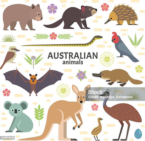 Australian Animals Stock Illustration - Download Image Now - Australia, Kangaroo, Animal