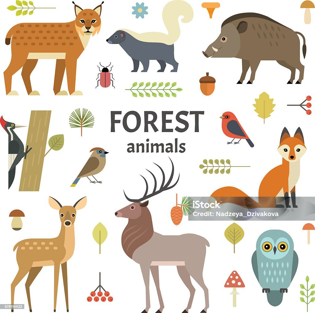Animals Vector illustration of forest animals: elk, doe, hedgehog, fox, owl, lynx, skunk, wild boar, woodpeckers and other birds, isolated on transparent background. Deer stock vector