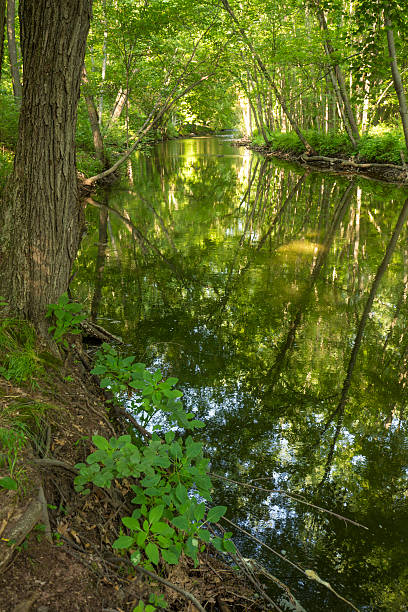 istock Tranquil flow of Hockanum River in summer, Manchester, Connecticut. 578114568