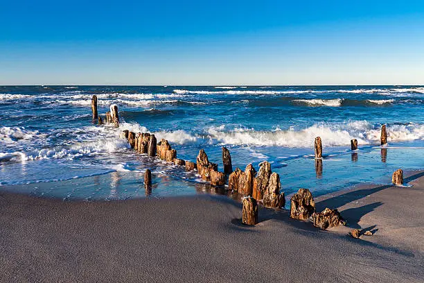 Groynes on shore of the Baltic Sea.