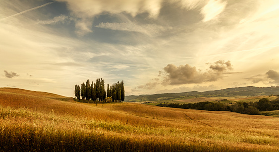 tuscany sunny landscape at sunset. Hills with cypress