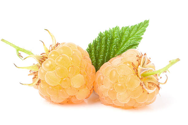 istock yellow raspberries with leaf isolated on white background macro 578119126