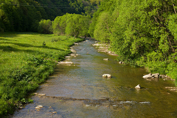 istock Latoriza river in Carpathian mountains, Ukraine 578119132