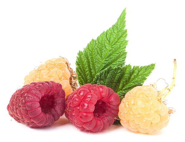 istock red and yellow raspberries with leaves on a white background 578119192
