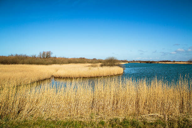 istock Westkapelle Creek with beautiful Panorama 578119198