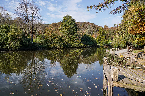 istock reflection of trees on lake in autumn 578122294