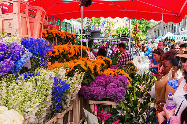 Columbia Road Flower Market in London, UK London, UK - June 19, 2016: Columbia Road Flower Market with unidentified people. It is a popular historic street market in the London Borough of Tower Hamlets. flower market stock pictures, royalty-free photos & images