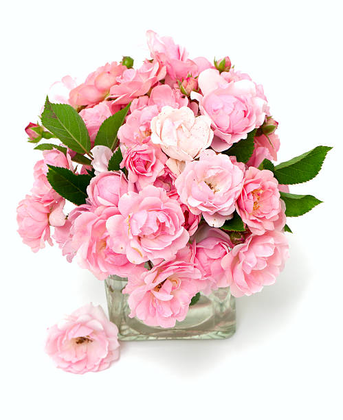 istock pink roses in a glass vase 578266272