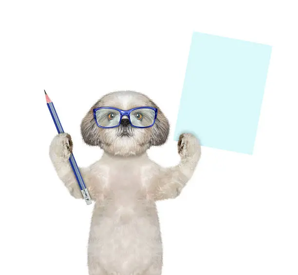 Photo of dog in glasses holding a blue pencil and blank