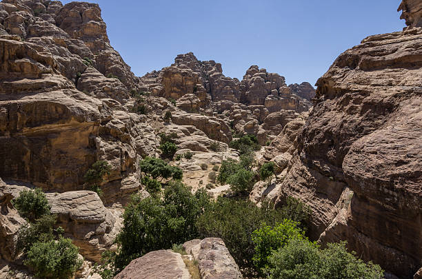 cañón de montaña cerca de siq al-barid en jordania. - el barid fotografías e imágenes de stock