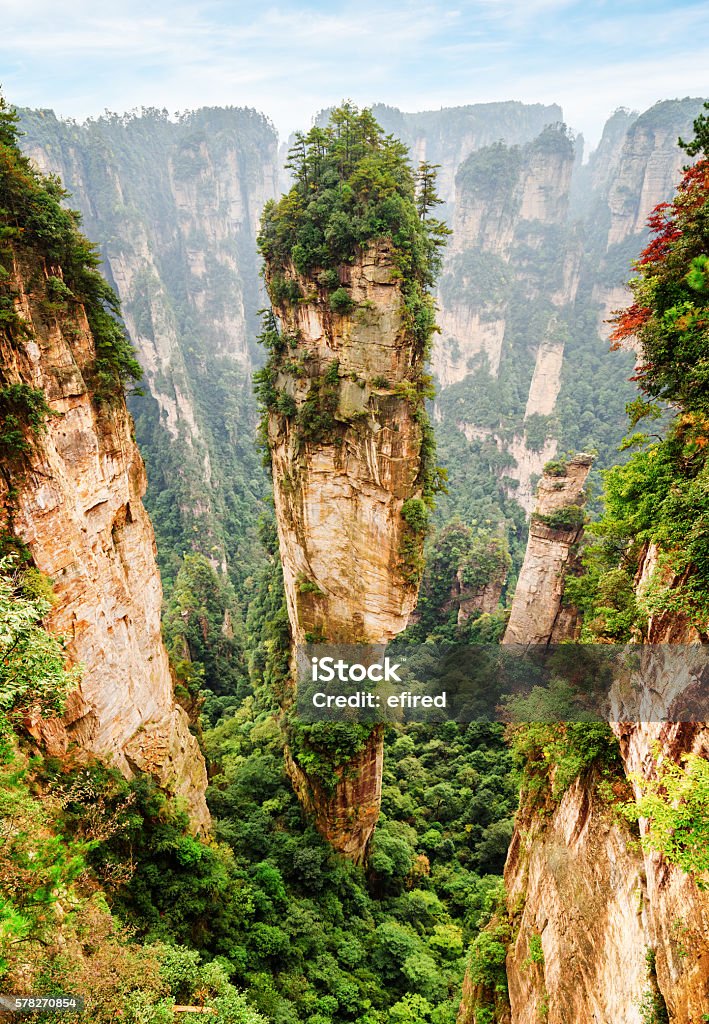 Scenic quartz sandstone pillar the Avatar Hallelujah Mountain Scenic view of natural quartz sandstone pillar the Avatar Hallelujah Mountain among green woods and rocks in the Tianzi Mountains, the Zhangjiajie National Forest Park, Hunan Province, China. Asia Stock Photo