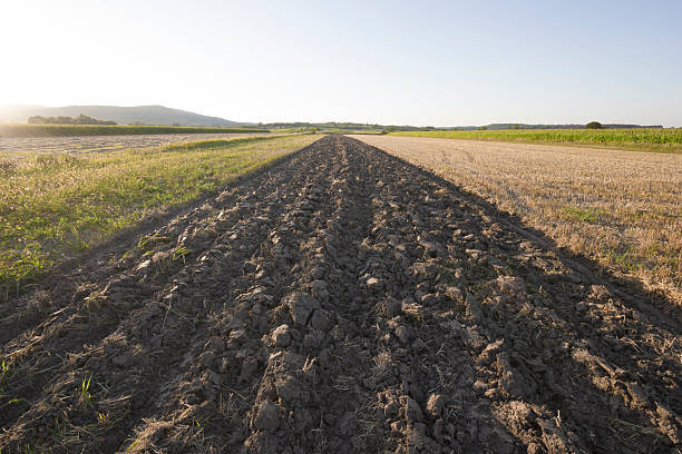 Stripe of plowed land in perspective view. Photo is taken with dslr camera and wide angle lens at sunset of summer day in European countryside.