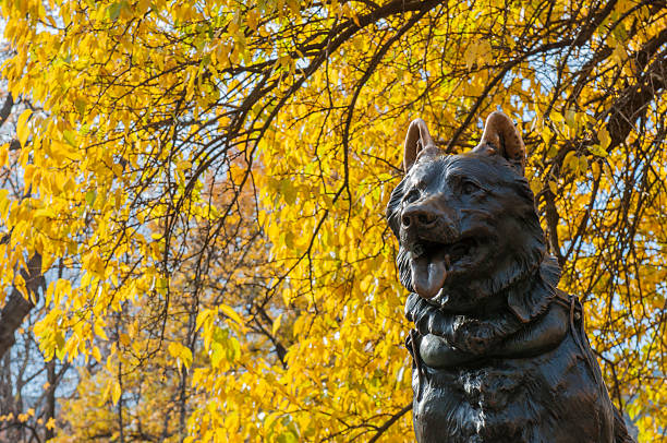 This is a horizontal, color photograph of Hachiko, a famous loyal dog, who's memorial statue is in the Shibuya Ward of Tokyo, Japan.