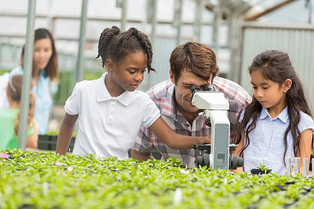 teacher and students look through microscope on field trip - teaching field trip classroom child imagens e fotografias de stock