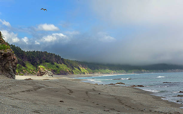 istock Sunny and foggy at one time 578274824