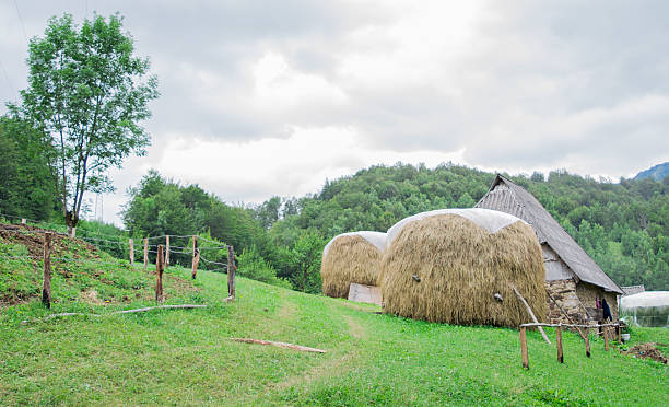 istock Bales of hay 578277430