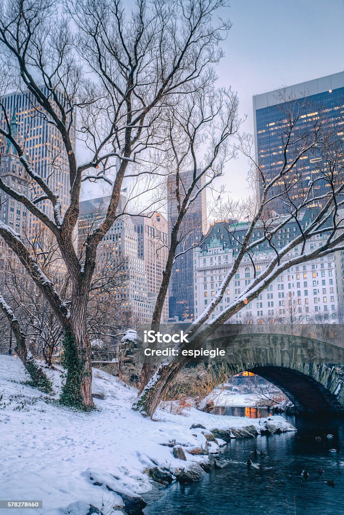 Central Park during winter Gapstow Bridge in Central Park during winter Central Park - Manhattan Stock Photo