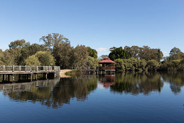 istock Tomato Lake Reserve Boardwalk and Lookout 578283050